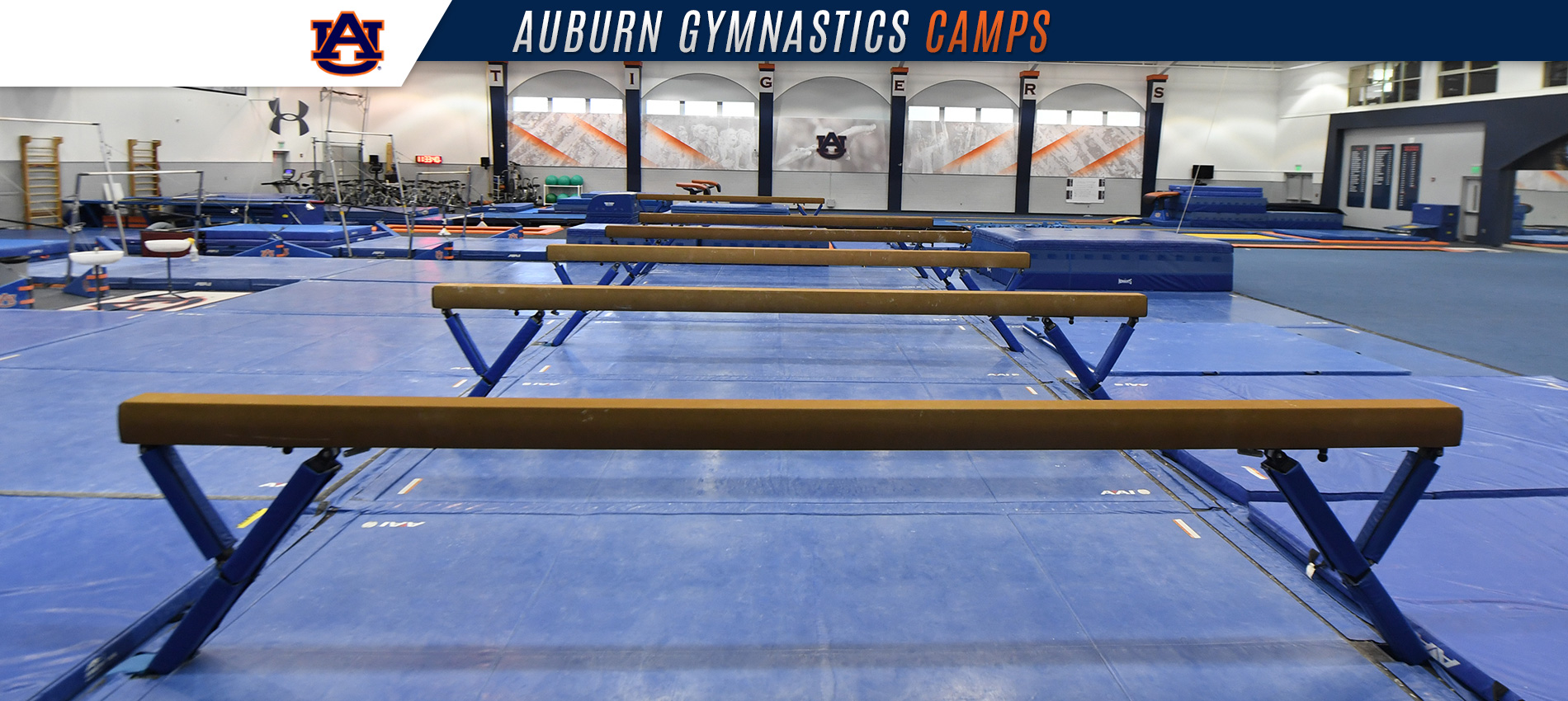 Auburn Gymnastics Camps at Auburn University Auburn, AL